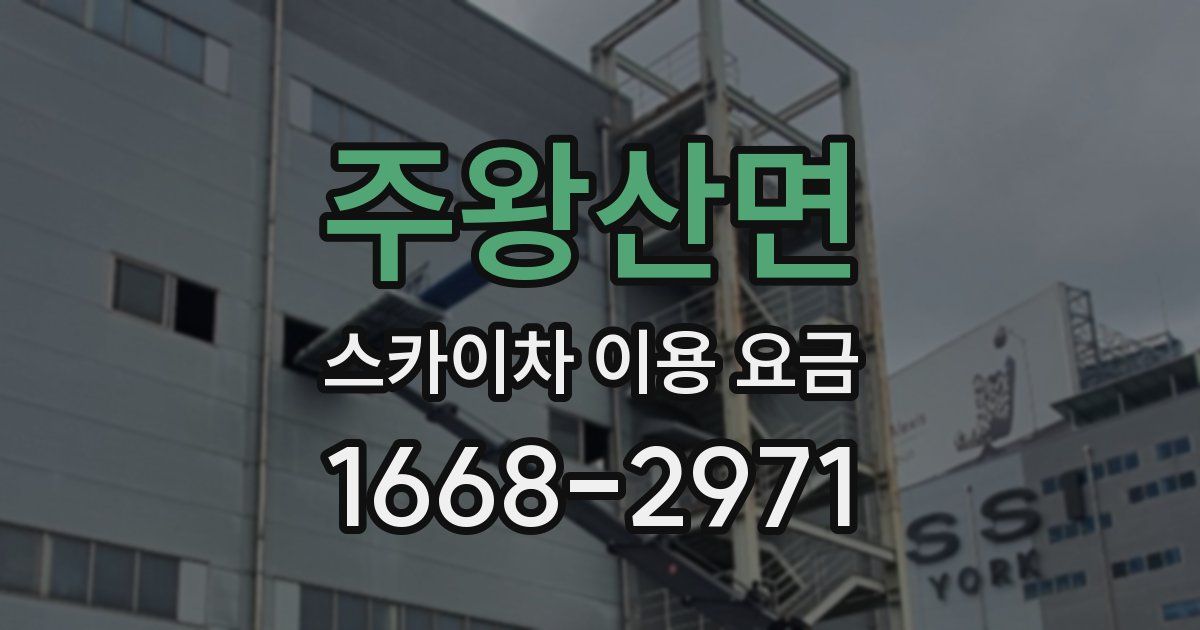 주왕산면 스카이차 이용 요금