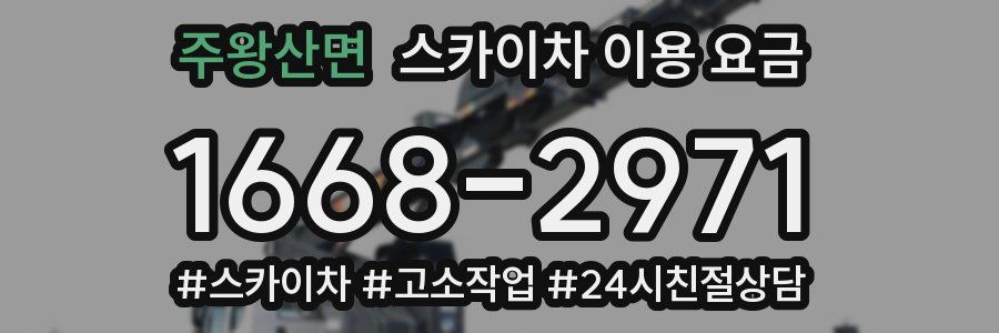 주왕산면 스카이차 이용 요금