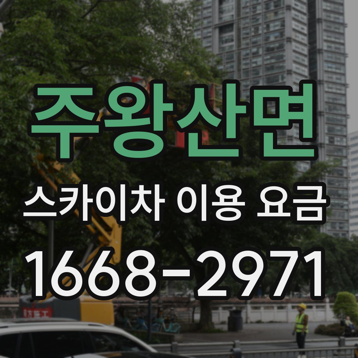 주왕산면 스카이차 이용 요금