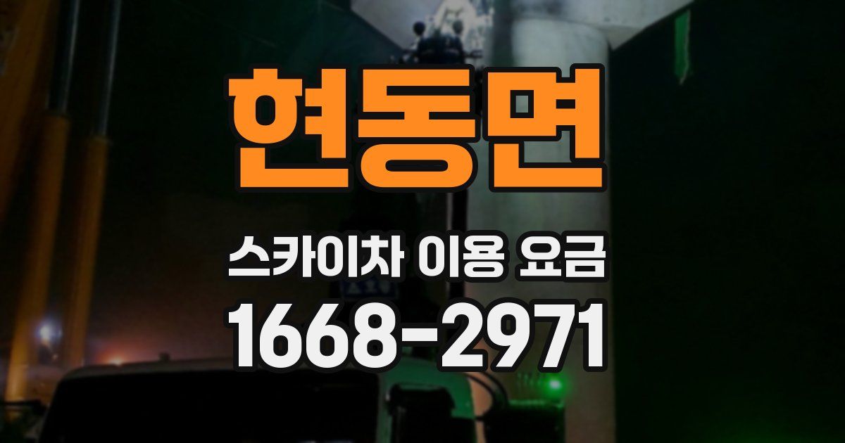 현동면 스카이차 이용 요금