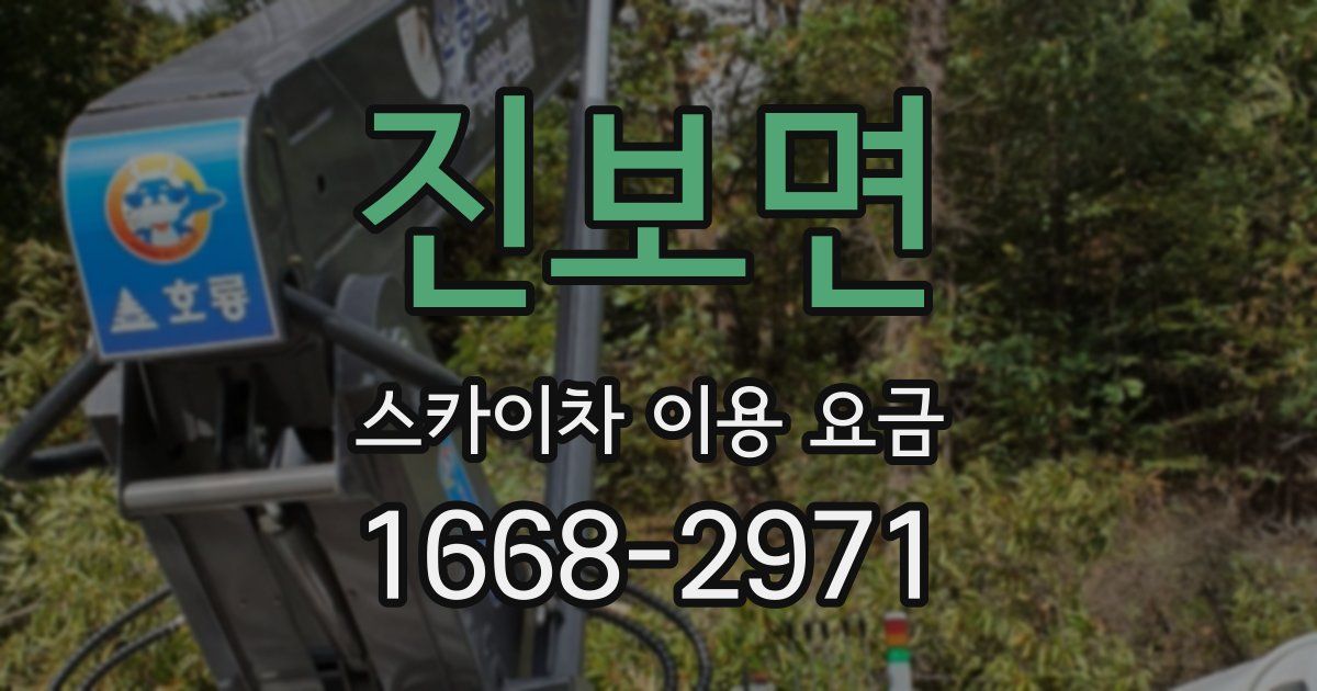 진보면 스카이차 이용 요금