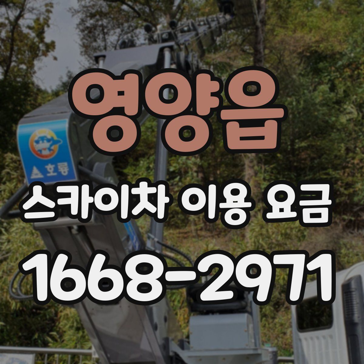 영양읍 스카이차 이용 요금