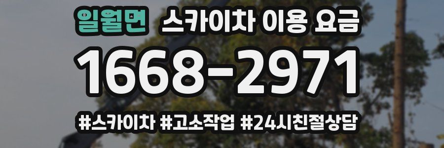일월면 스카이차 이용 요금