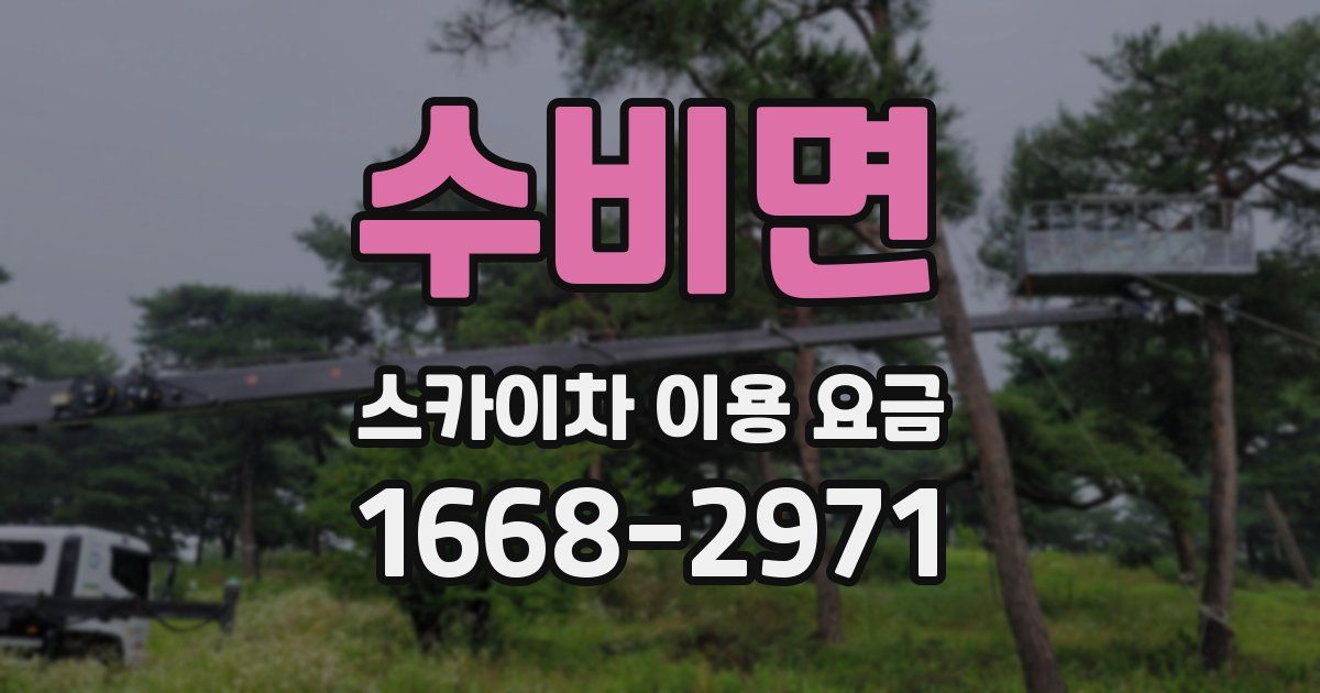 수비면 스카이차 이용 요금
