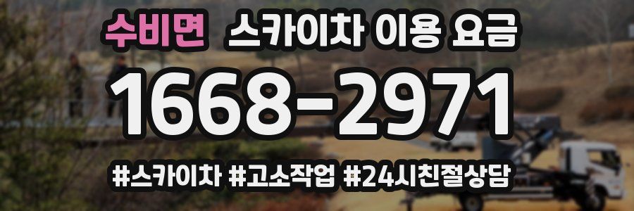 수비면 스카이차 이용 요금