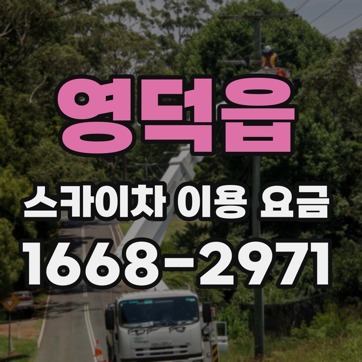 영덕읍 스카이차 이용 요금
