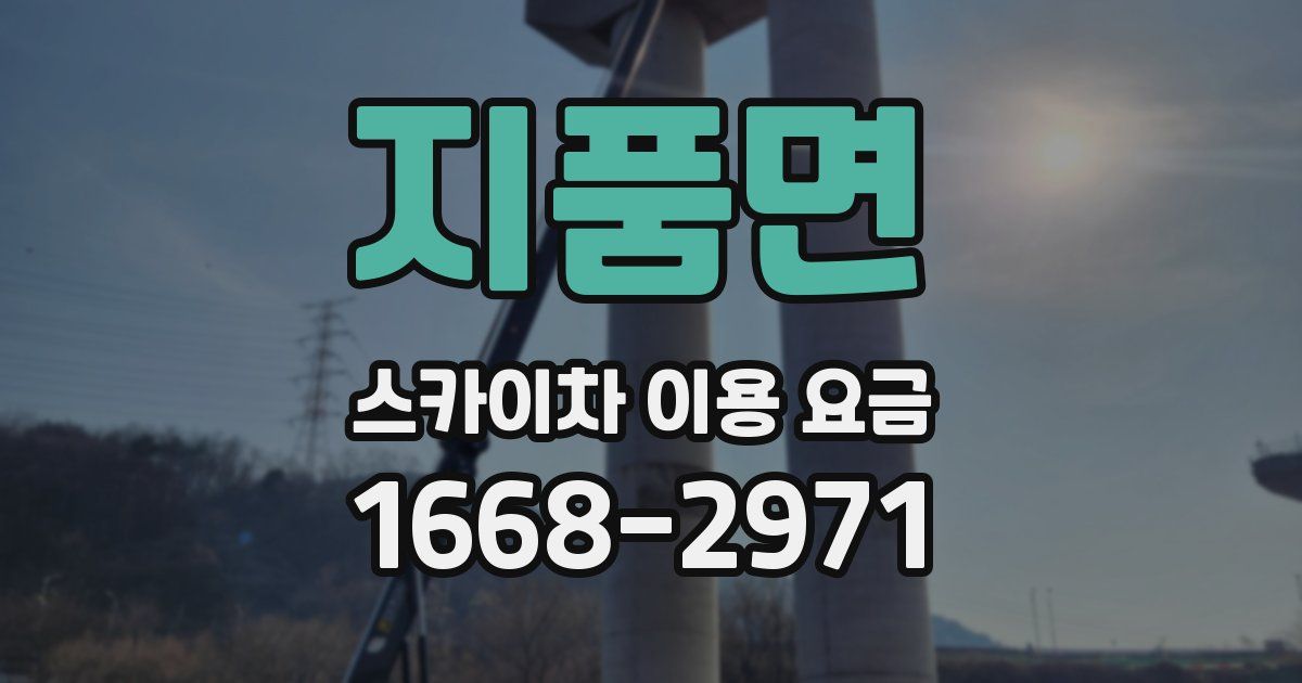 지품면 스카이차 이용 요금