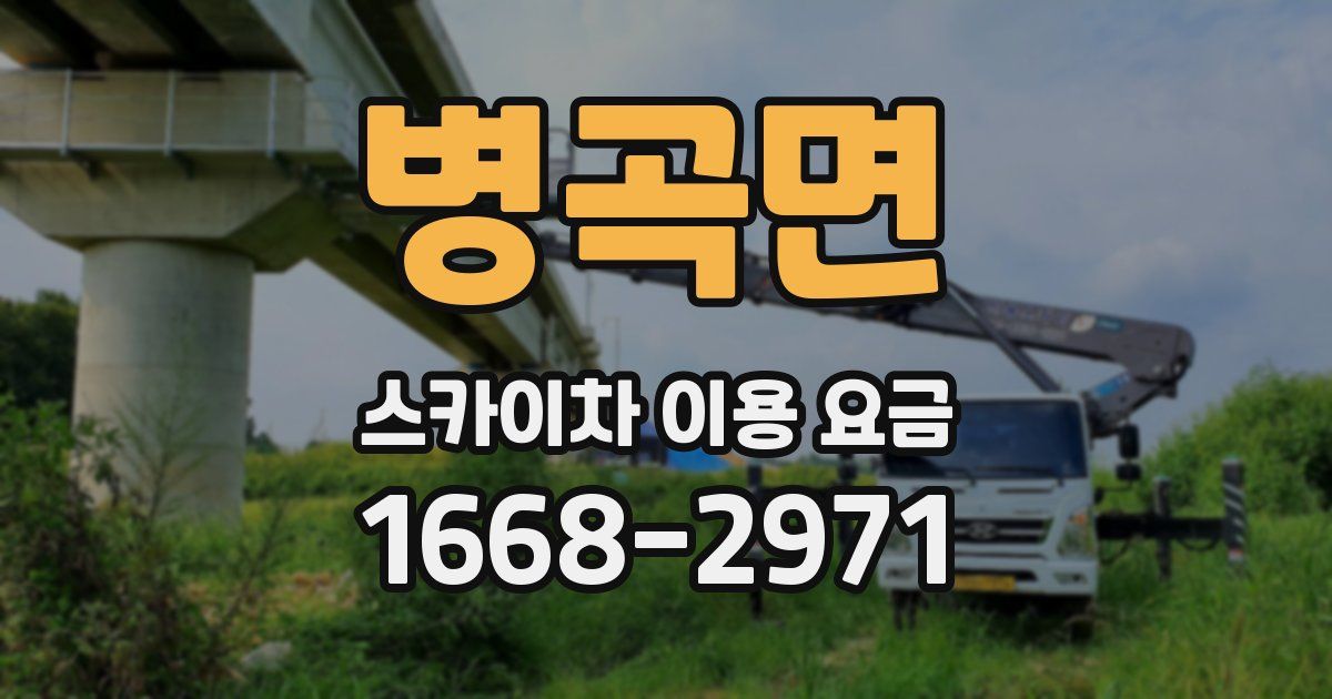 병곡면 스카이차 이용 요금