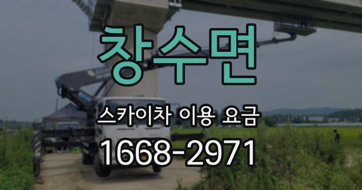 창수면 스카이차 이용 요금