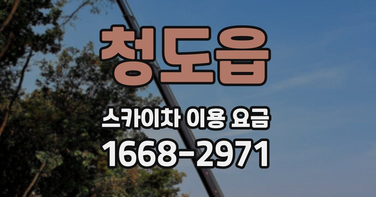 청도읍 스카이차 이용 요금