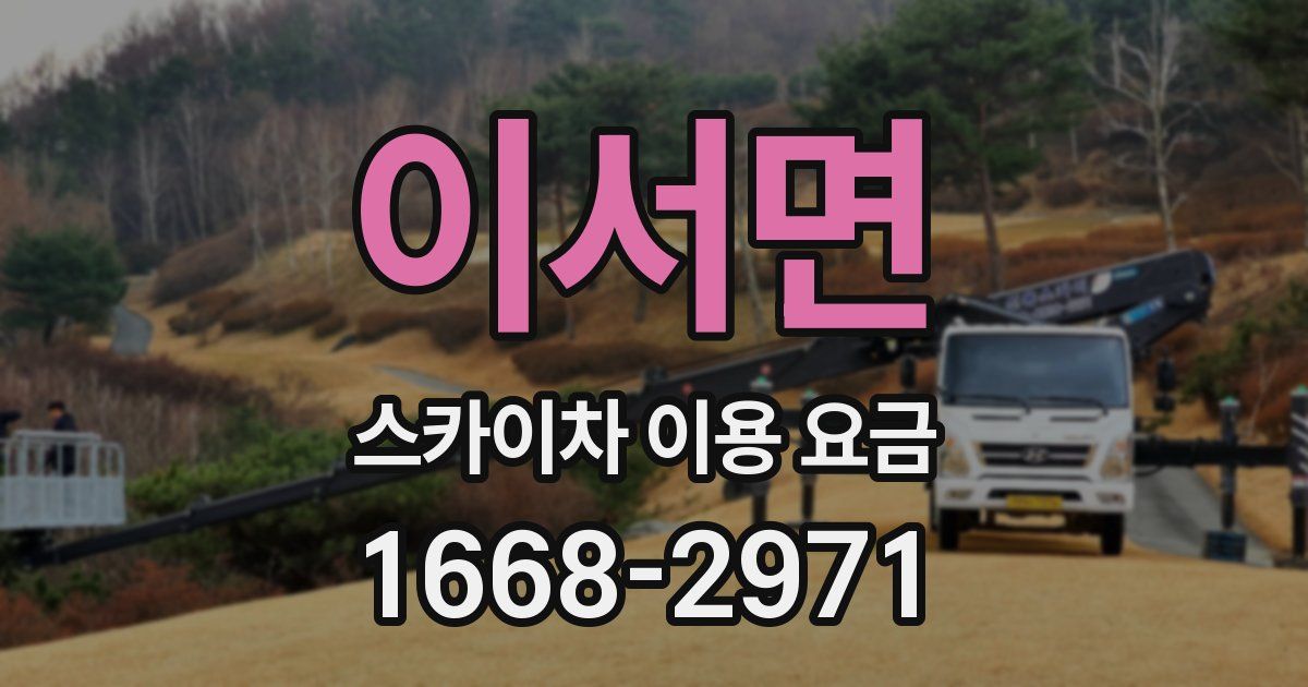 이서면 스카이차 이용 요금