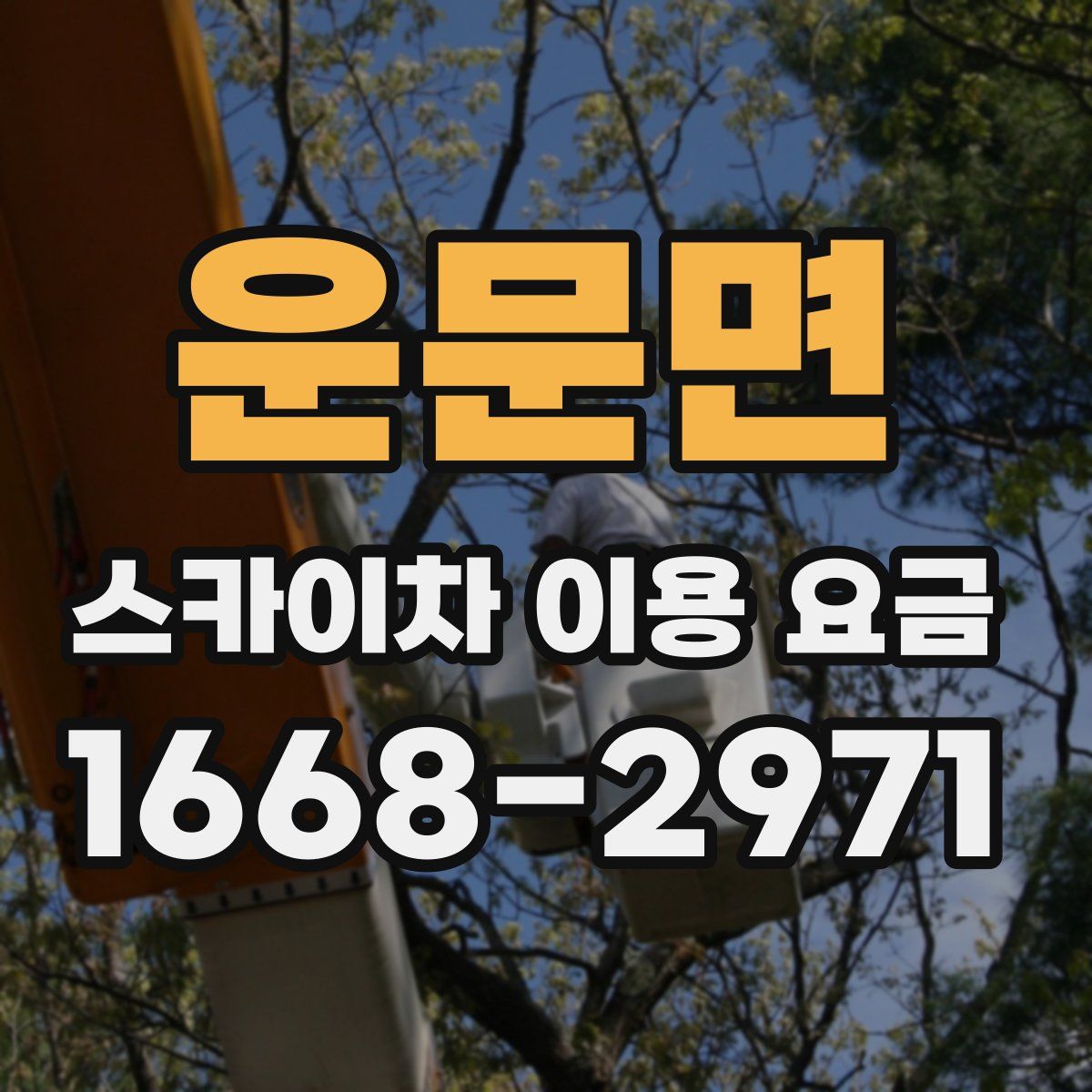 운문면 스카이차 이용 요금