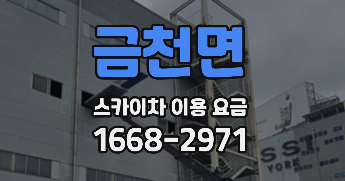 금천면 스카이차 이용 요금