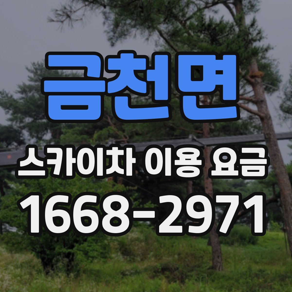금천면 스카이차 이용 요금