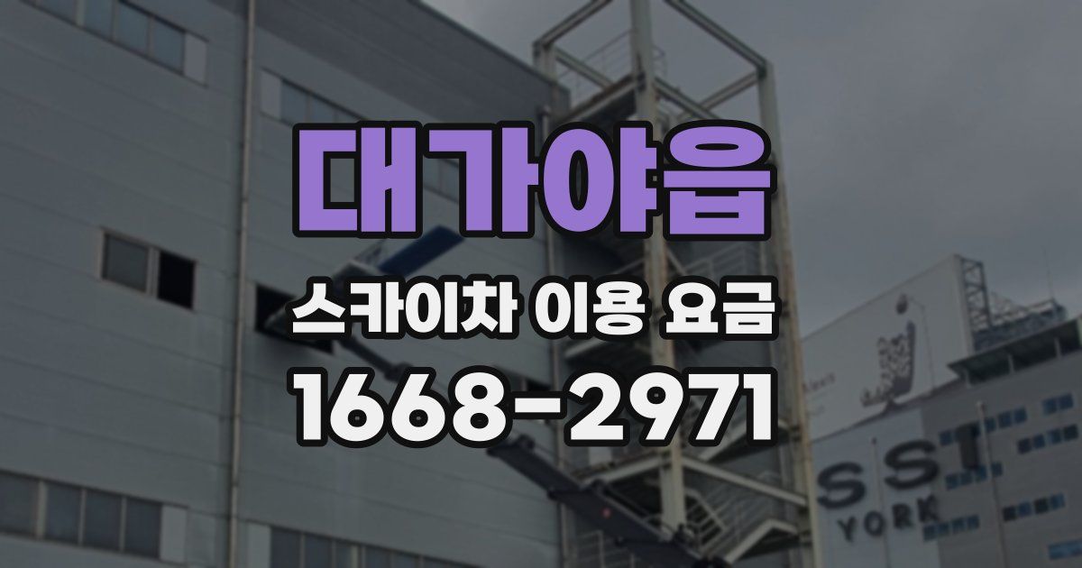 대가야읍 스카이차 이용 요금