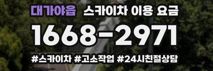 대가야읍 스카이차 이용 요금