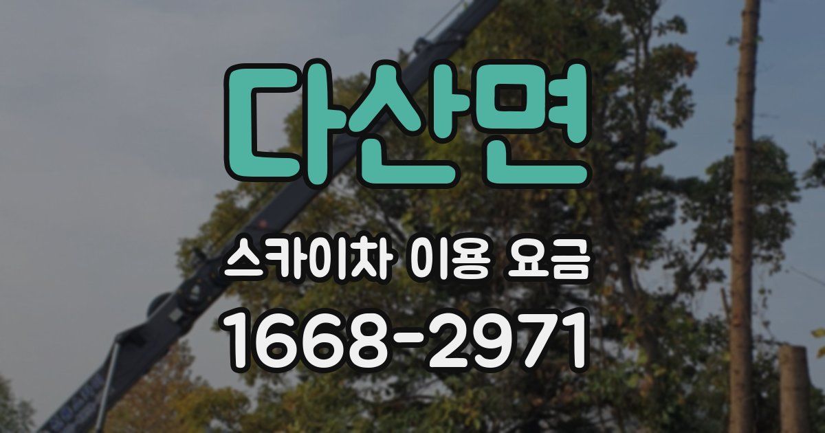 다산면 스카이차 이용 요금