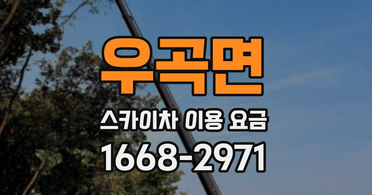 우곡면 스카이차 이용 요금