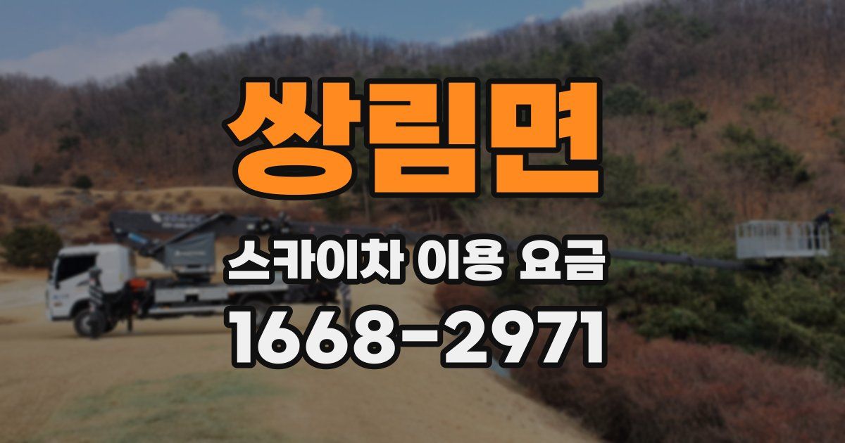 쌍림면 스카이차 이용 요금