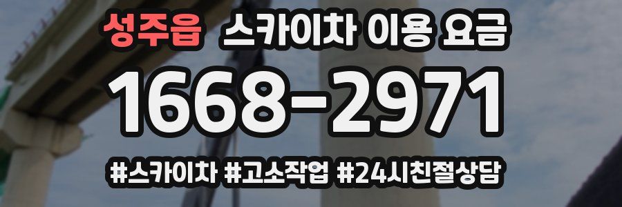 성주읍 스카이차 이용 요금
