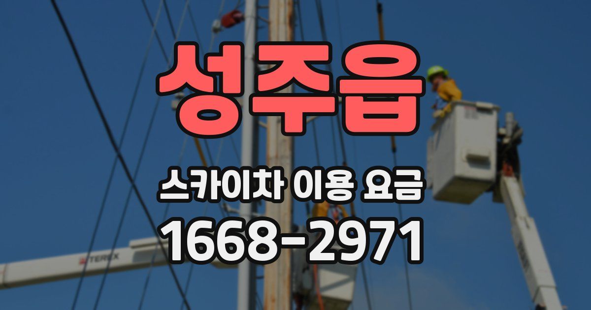 성주읍 스카이차 이용 요금