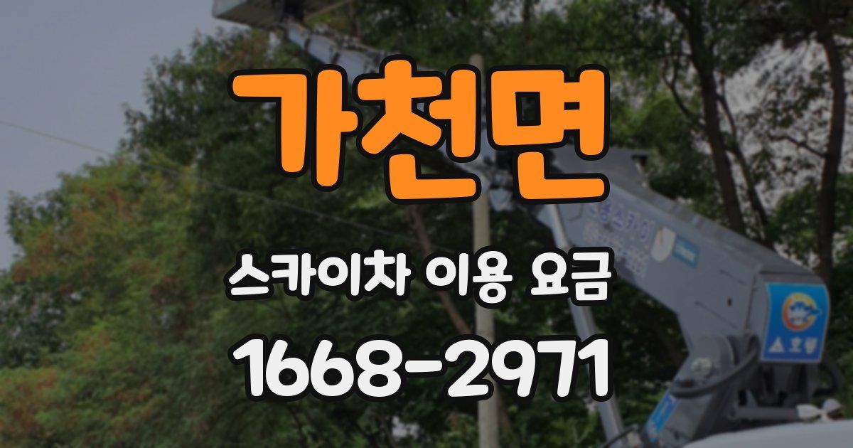 가천면 스카이차 이용 요금