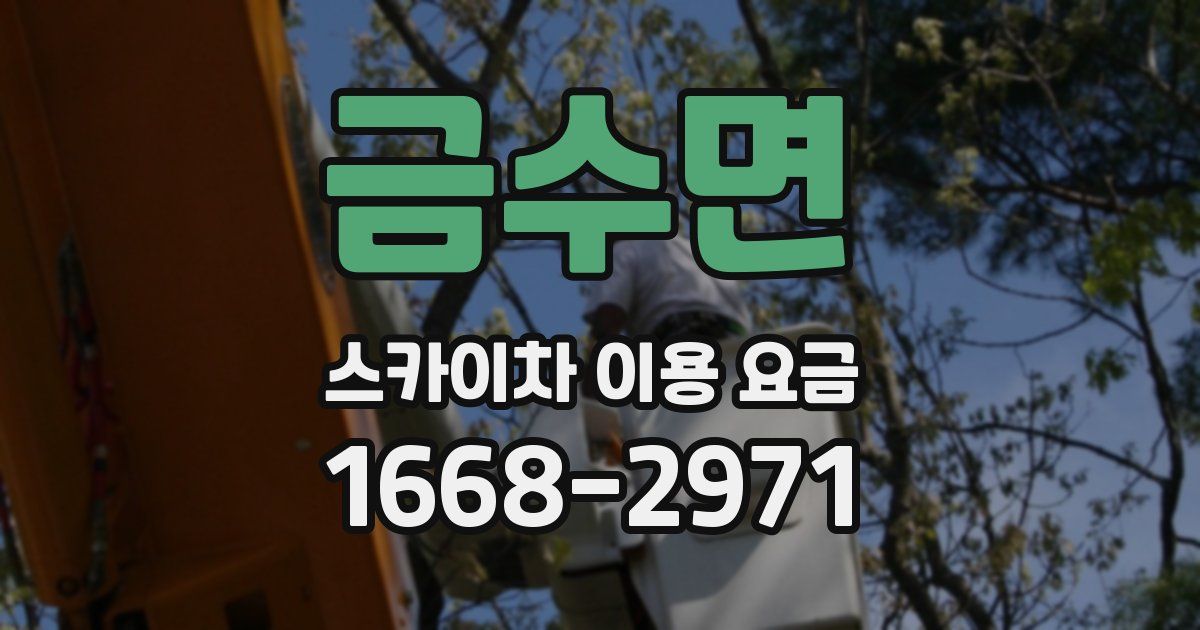 금수면 스카이차 이용 요금