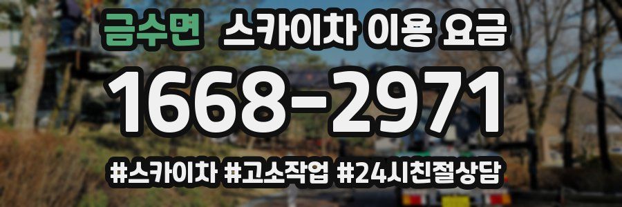 금수면 스카이차 이용 요금