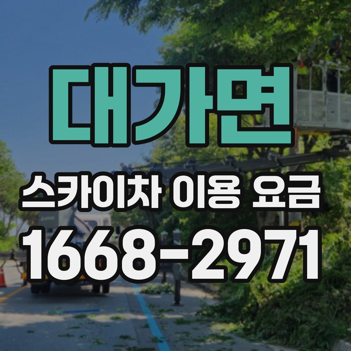 대가면 스카이차 이용 요금
