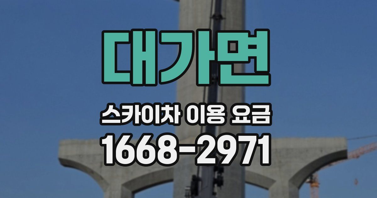 대가면 스카이차 이용 요금