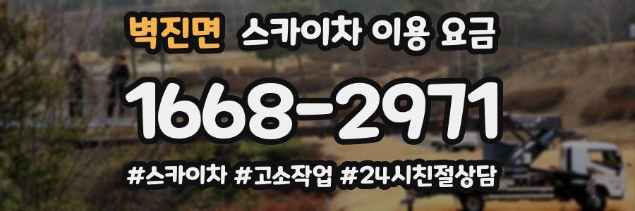 벽진면 스카이차 이용 요금
