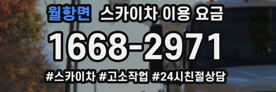 월항면 스카이차 이용 요금