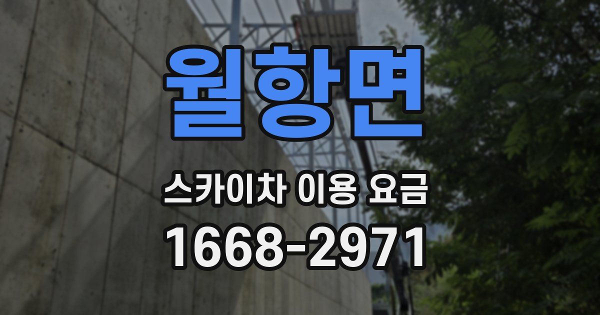 월항면 스카이차 이용 요금
