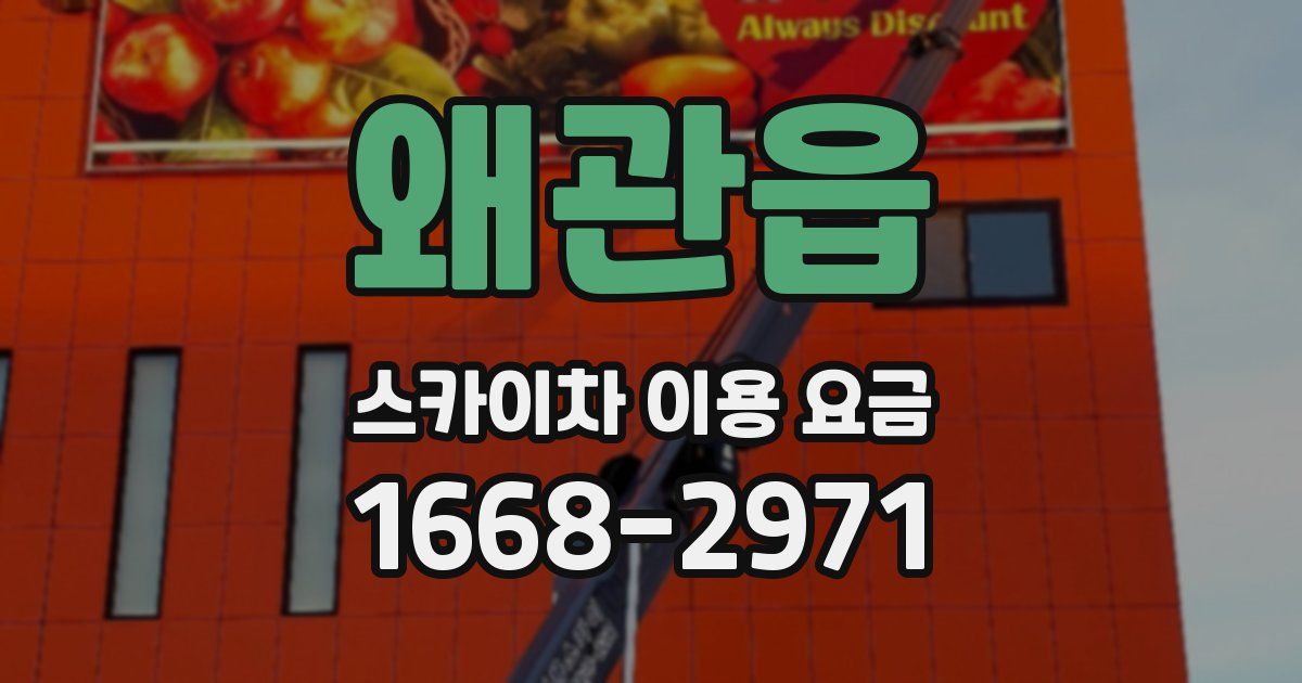 왜관읍 스카이차 이용 요금