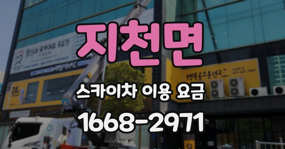 지천면 스카이차 이용 요금