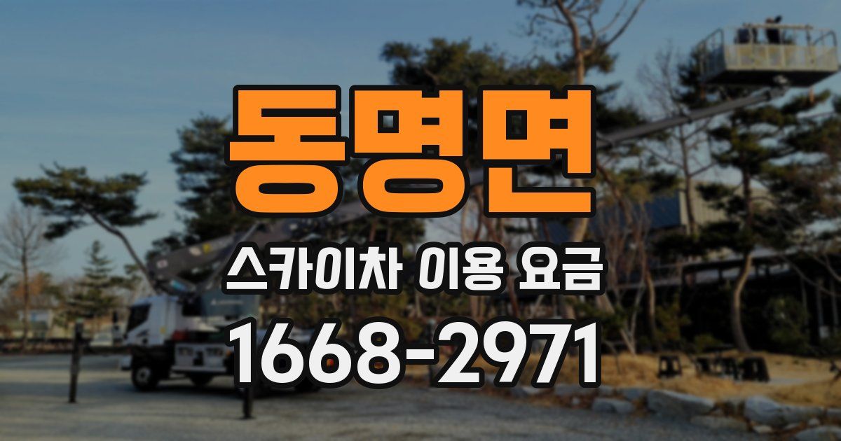 동명면 스카이차 이용 요금