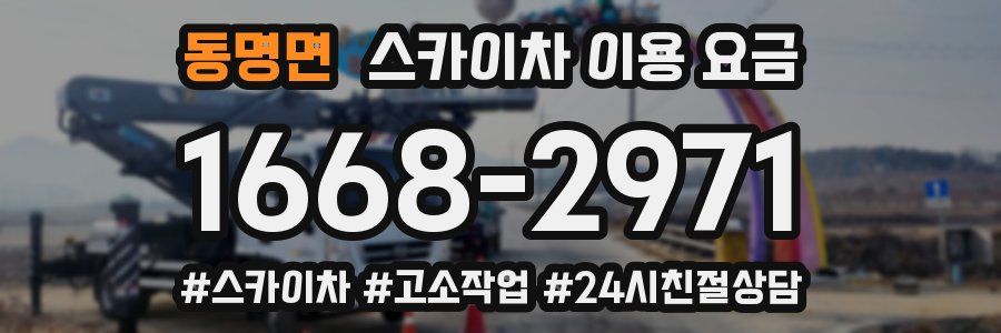 동명면 스카이차 이용 요금