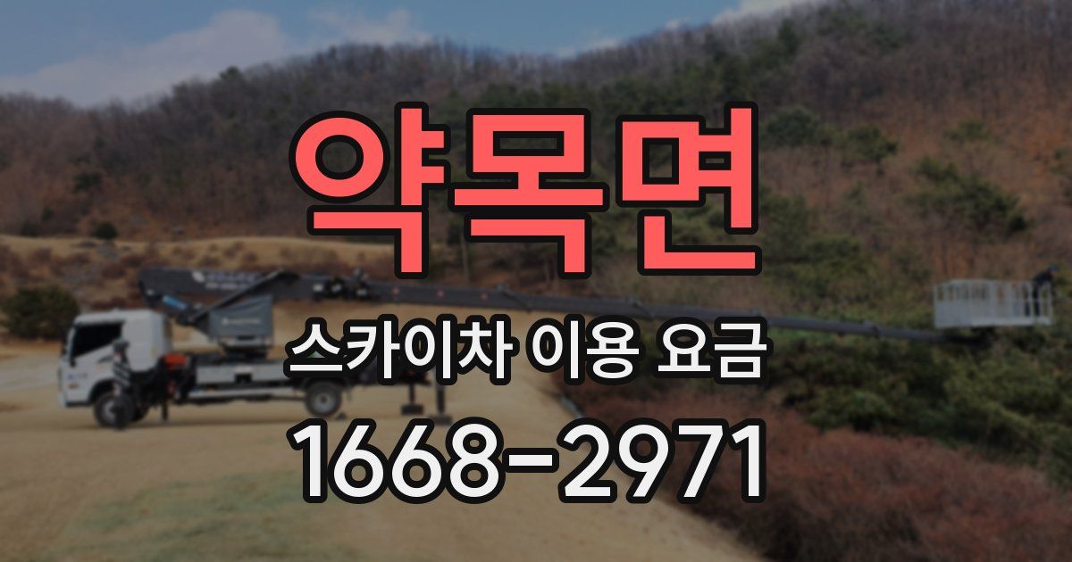 약목면 스카이차 이용 요금