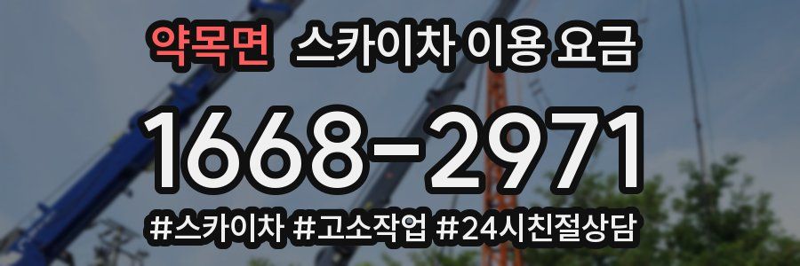 약목면 스카이차 이용 요금