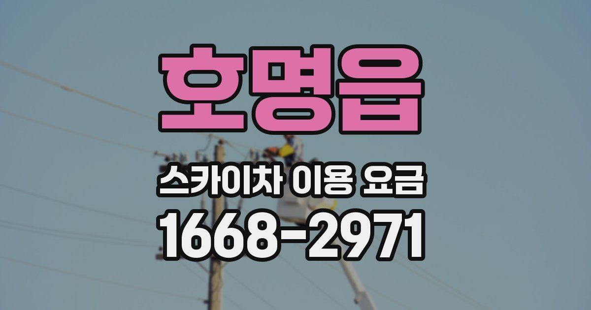 호명읍 스카이차 이용 요금