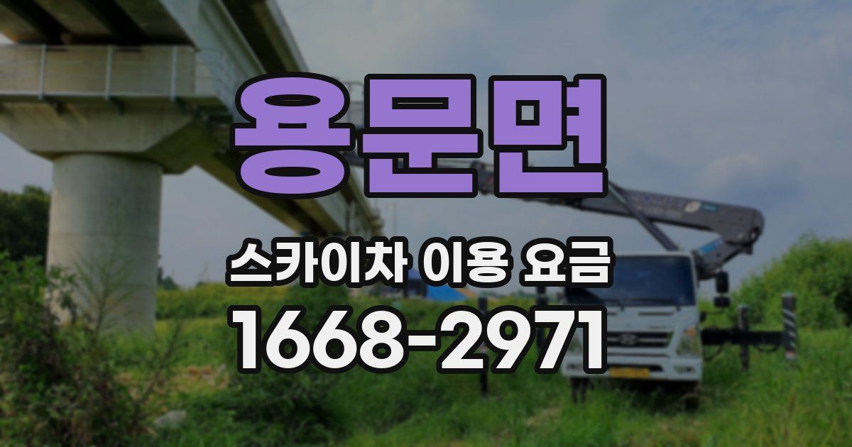 용문면 스카이차 이용 요금