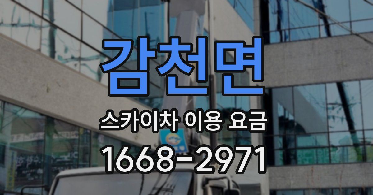 감천면 스카이차 이용 요금