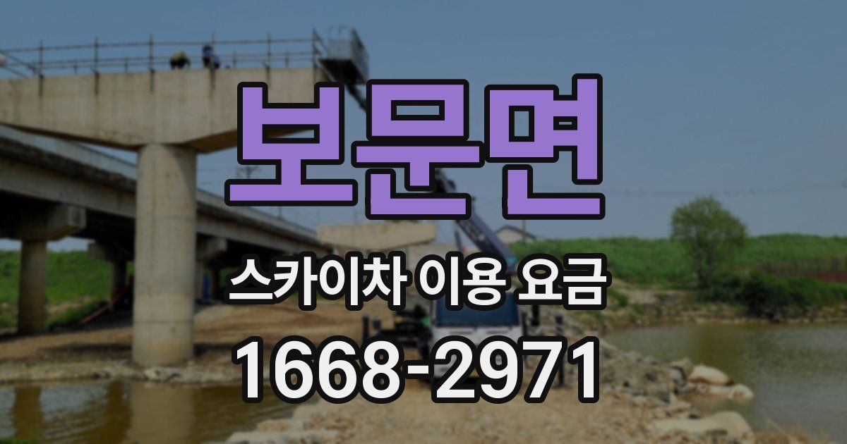 보문면 스카이차 이용 요금