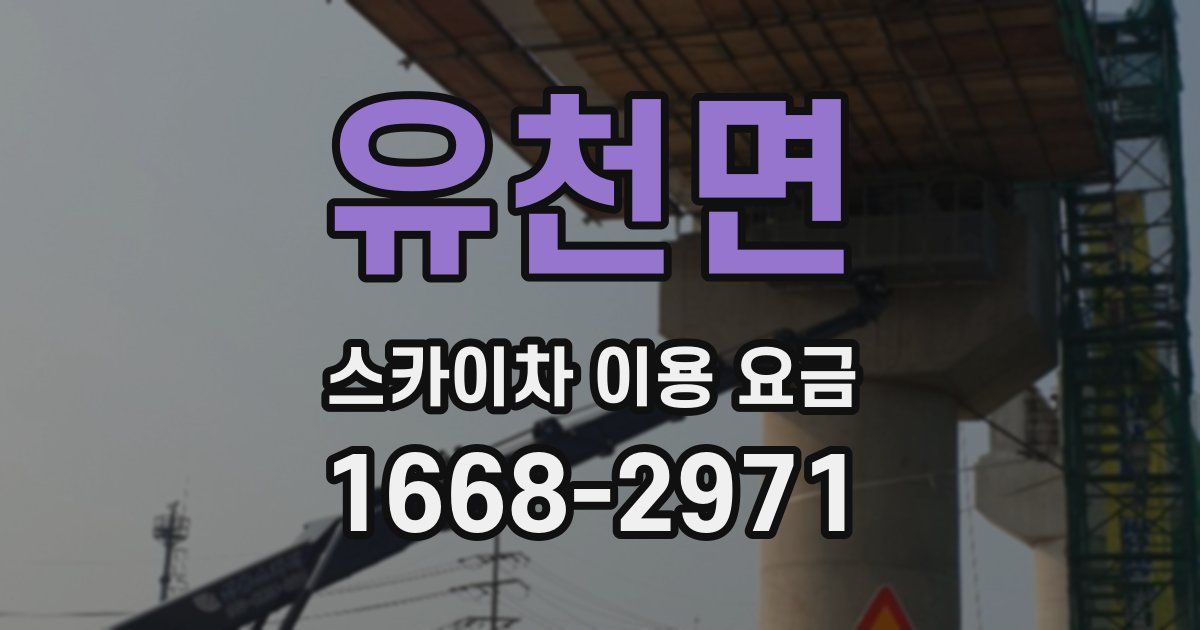 유천면 스카이차 이용 요금