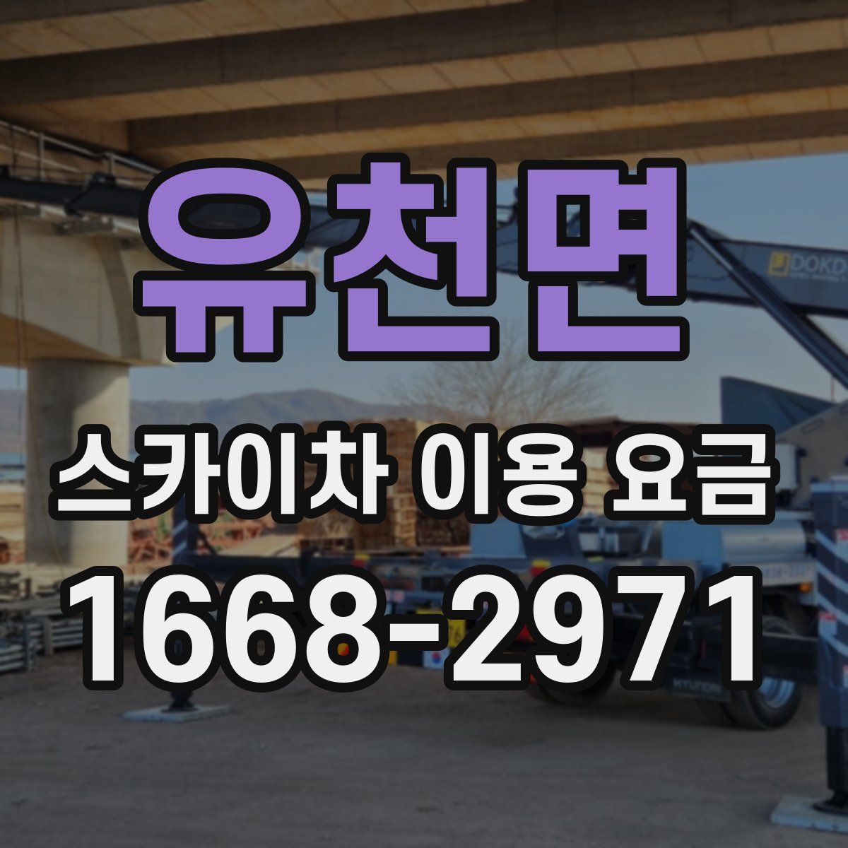 유천면 스카이차 이용 요금