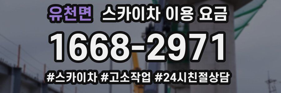 유천면 스카이차 이용 요금