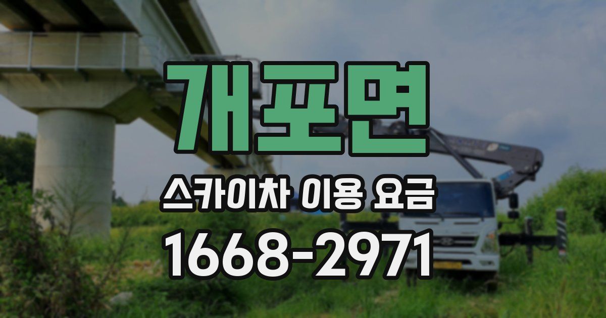 개포면 스카이차 이용 요금