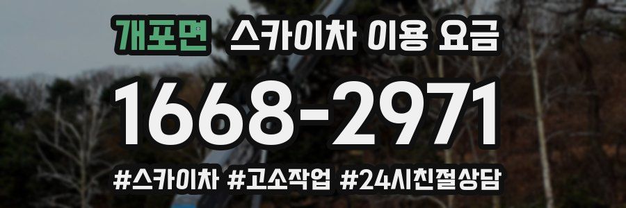 개포면 스카이차 이용 요금