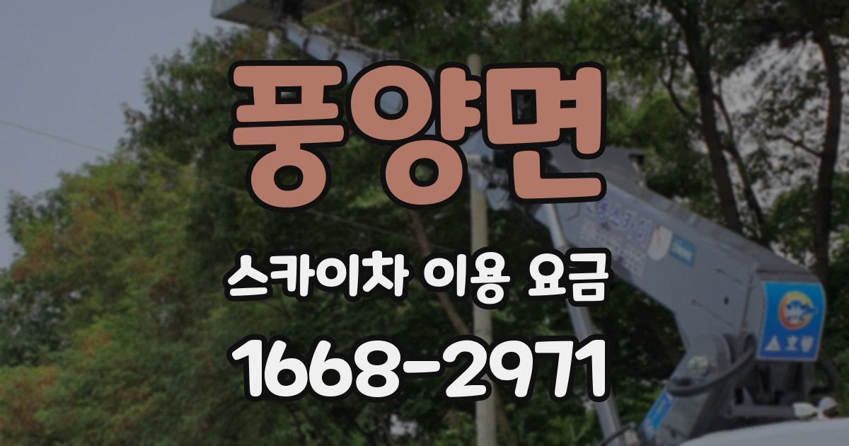 풍양면 스카이차 이용 요금