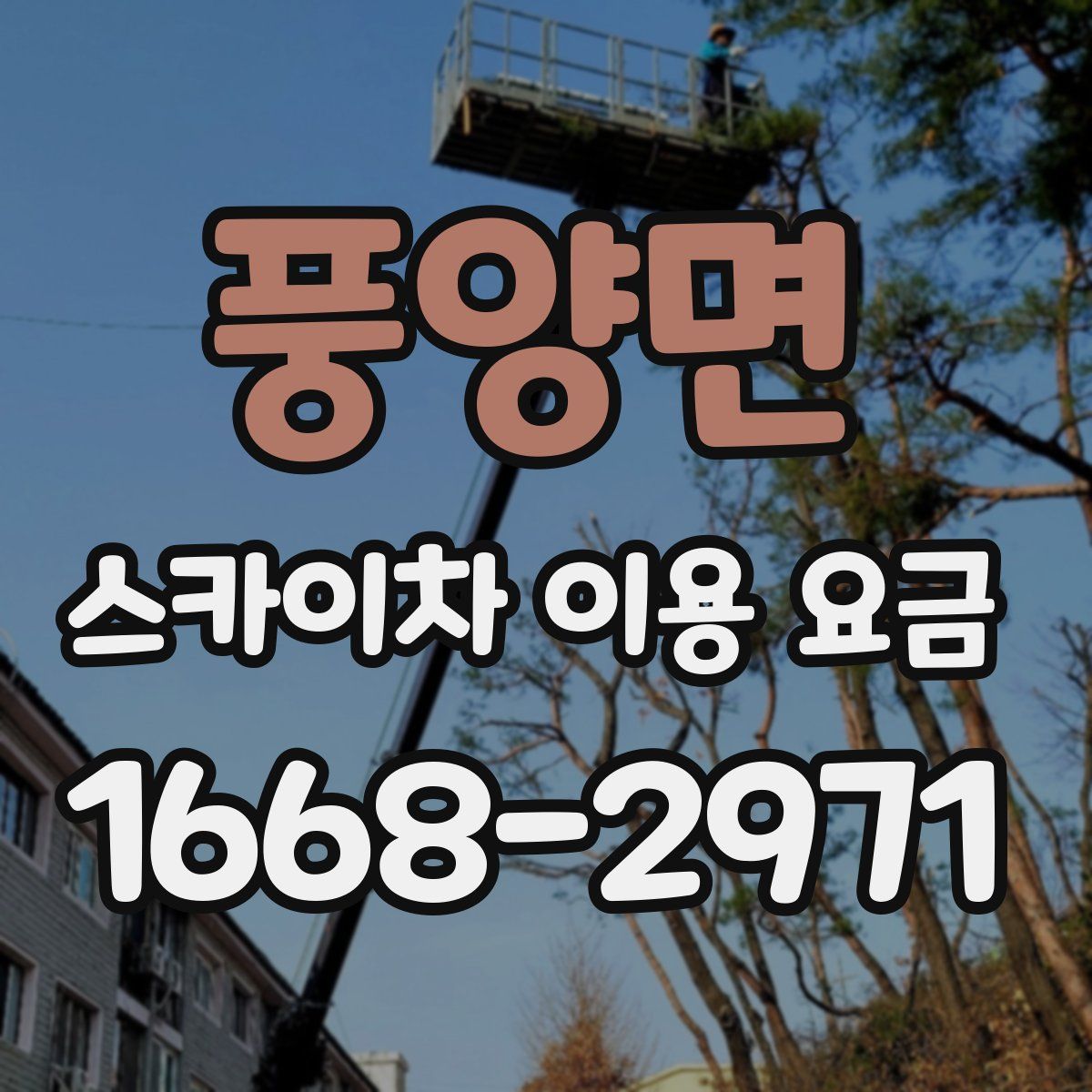 풍양면 스카이차 이용 요금